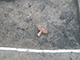 FileNo.204-0277.jpg