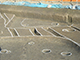 FileNo.204-0290.jpg