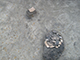 FileNo.204-0311.jpg