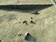 FileNo.204-0312.jpg