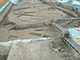 FileNo.204-0314.jpg