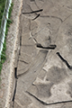 FileNo.204-0323.jpg