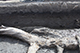 FileNo.204-0331.jpg