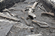 FileNo.204-0334.jpg