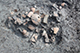 FileNo.204-0335.jpg