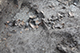 FileNo.204-0336.jpg