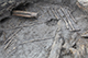 FileNo.204-0339.jpg