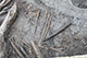 FileNo.204-0340.jpg