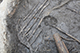 FileNo.204-0341.jpg