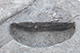 FileNo.204-0352.jpg