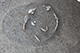 FileNo.204-0353.jpg