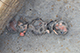FileNo.204-0358.jpg