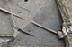 FileNo.204-0359.jpg