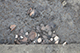 FileNo.204-0360.jpg