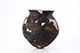 FileNo.204-0396.jpg