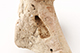 FileNo.204-0415.jpg