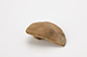 FileNo.204-0421.jpg