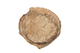 FileNo.204-0423.jpg