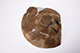 FileNo.204-0433.jpg