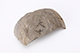 FileNo.204-0441.jpg