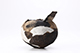 FileNo.204-0448.jpg