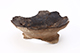 FileNo.204-0459.jpg