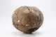 FileNo.204-0463.jpg