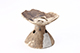 FileNo.204-0468.jpg