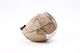 FileNo.204-0489.jpg
