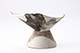 FileNo.204-0509.jpg
