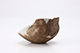 FileNo.204-0517.jpg