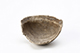 FileNo.204-0528.jpg