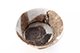 FileNo.204-0533.jpg