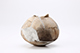 FileNo.204-0540.jpg
