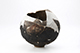 FileNo.204-0547.jpg