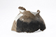 FileNo.204-0549.jpg