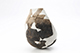 FileNo.204-0553.jpg