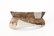 FileNo.204-0571.jpg