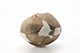 FileNo.204-0583.jpg