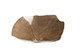 FileNo.204-0585.jpg