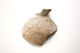 FileNo.204-0586.jpg