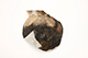 FileNo.204-0591.jpg