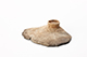 FileNo.204-0596.jpg