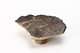 FileNo.204-0597.jpg