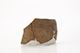 FileNo.204-0603.jpg