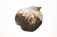 FileNo.204-0624.jpg