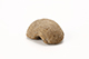 FileNo.204-0671.jpg