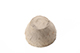 FileNo.204-0679.jpg