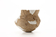 FileNo.204-0686.jpg