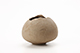 FileNo.204-0698.jpg